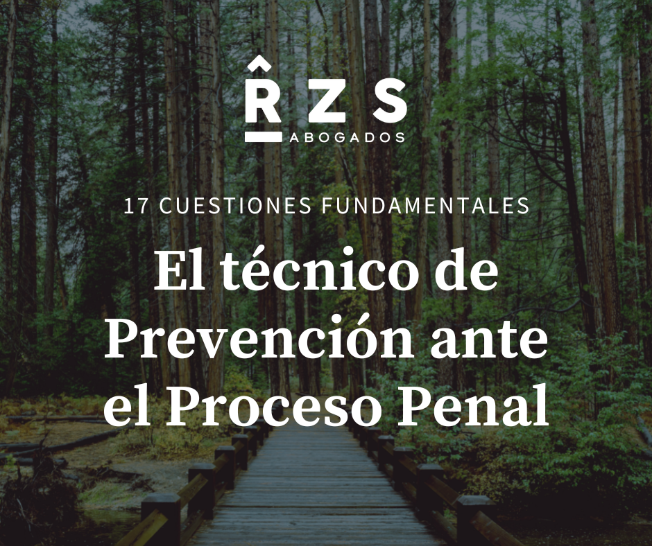 Guía El Técnico de Prevención ante el Proceso Penal